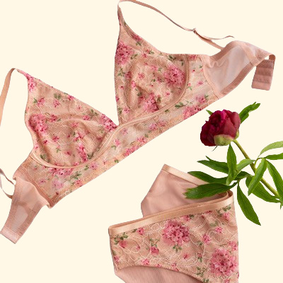 still life bra lingerie